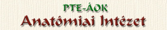 PTE-AOK Anat�mia